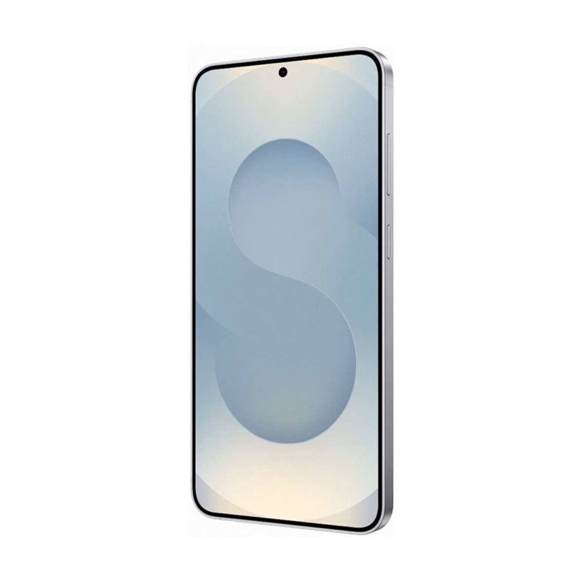 Смартфон Samsung Galaxy S25+ 5G 12/256Gb SIM+eSIM Silver (Серебристый)