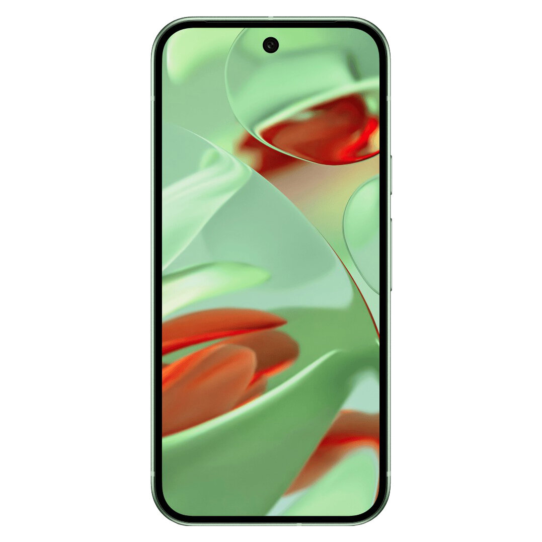 Google Pixel 9 128Gb SIM+eSIM Wintergreen