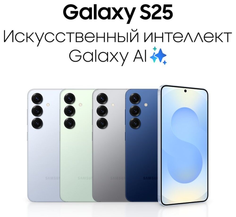 Samsung Galaxy S25 5G 256Gb 2 eSIM Silver