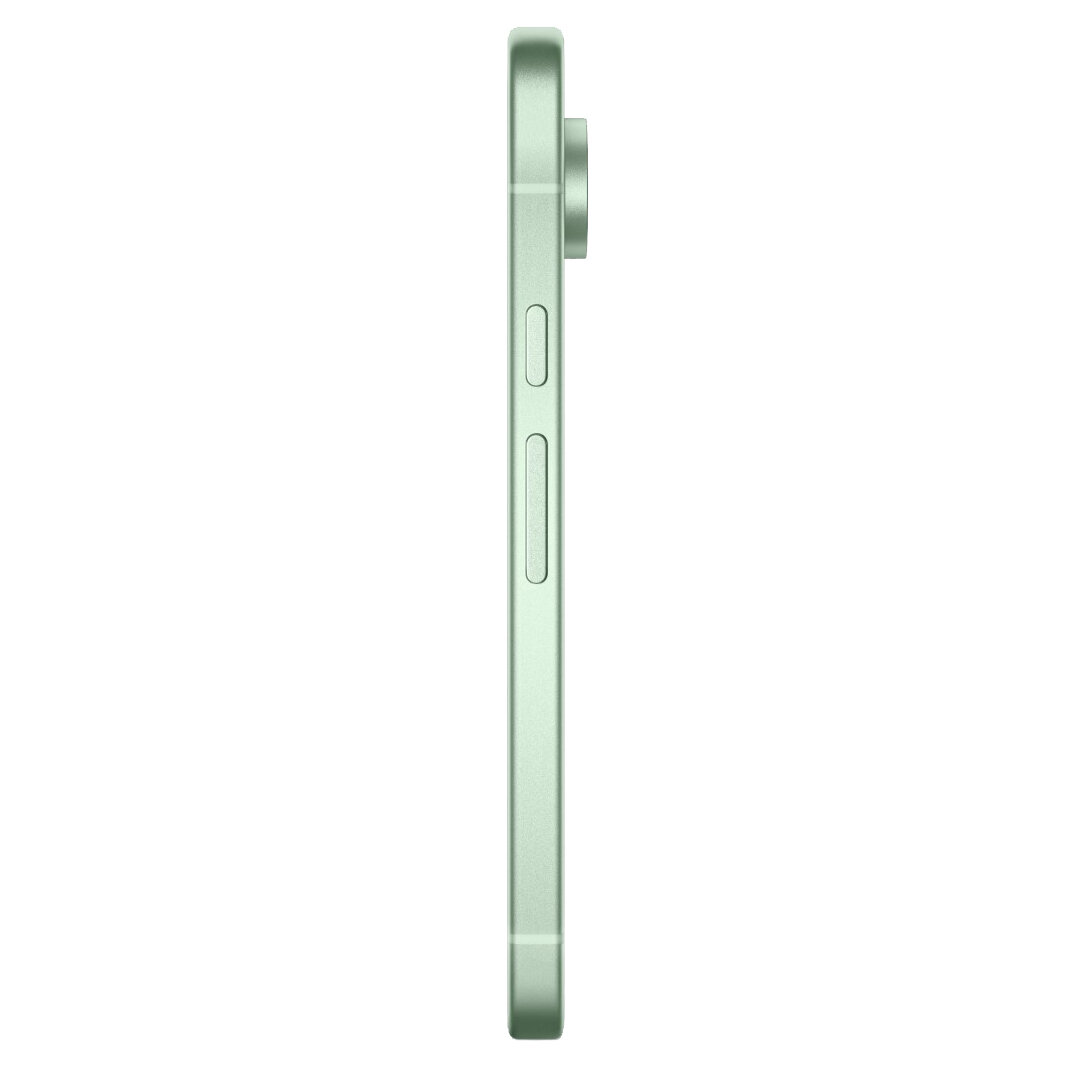 Google Pixel 9 128Gb SIM+eSIM Wintergreen
