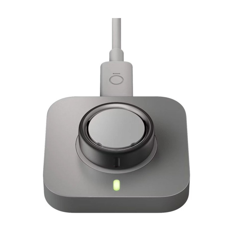 Oura Ring 4 Матовое серебро (Brushed Silver) 9 US