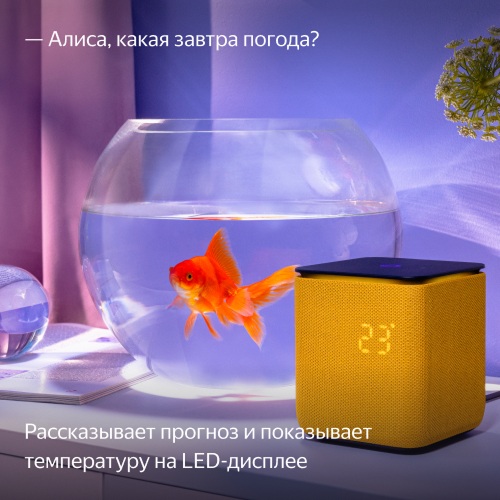 Умная колонка Яндекс Станция Миди Оранжевый