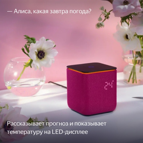 Умная колонка Яндекс Станция Миди Малиновый