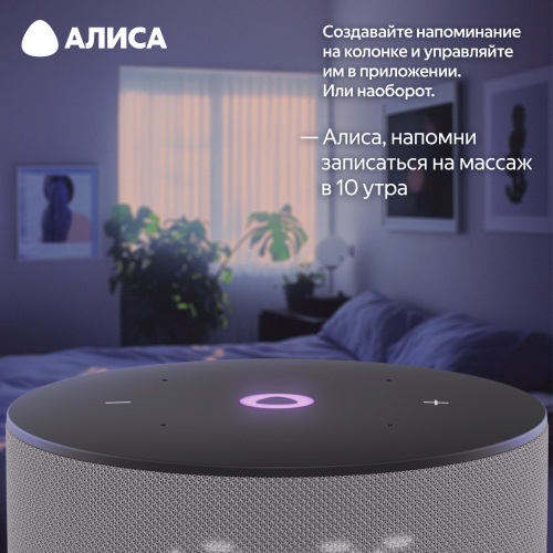 Умная колонка Яндекс Станция Мини 3 Серый