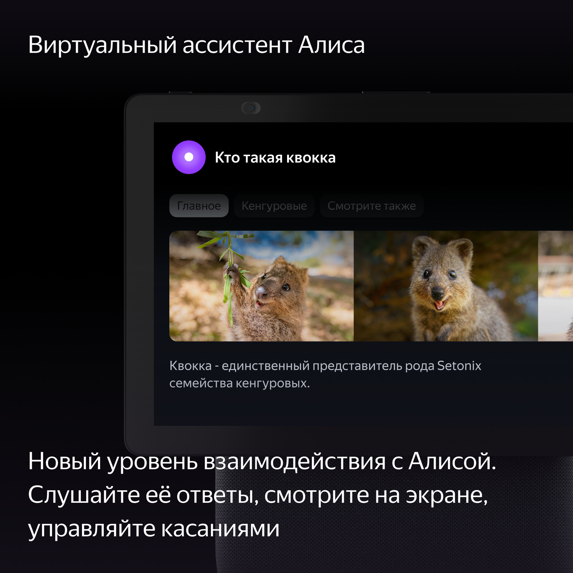 Умная колонка Яндекс Станция Дуо Макс Черный
