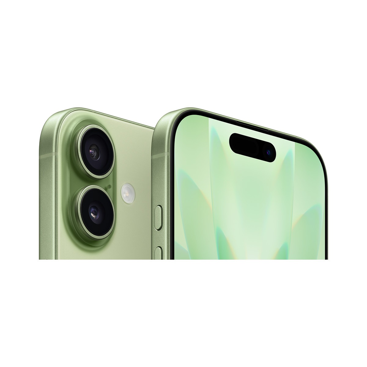 Смартфон Apple iPhone 17 256Gb SIM+eSIM Sage (Зеленый) Global