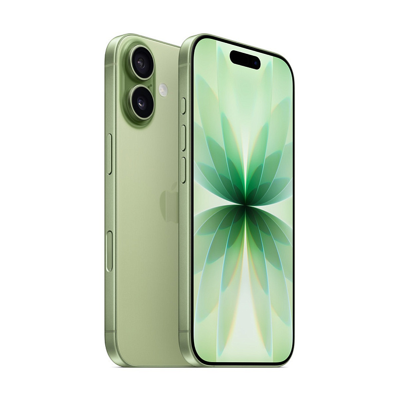 Смартфон Apple iPhone 17 256Gb SIM+eSIM Sage (Зеленый) Global