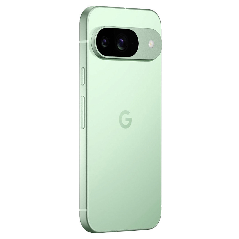 Google Pixel 9 128Gb SIM+eSIM Wintergreen
