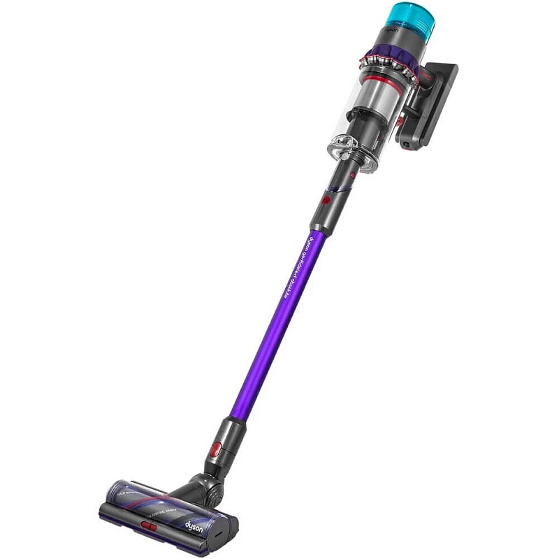 Gen Dyson 5 Detect Absolute SV23 Purple