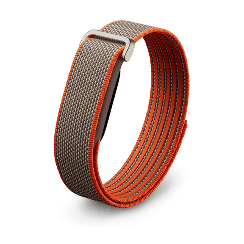 Фитнес-трекер Google Fitbit Air Stephen Curry Edition, Коричневый